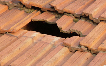 roof repair Chalton